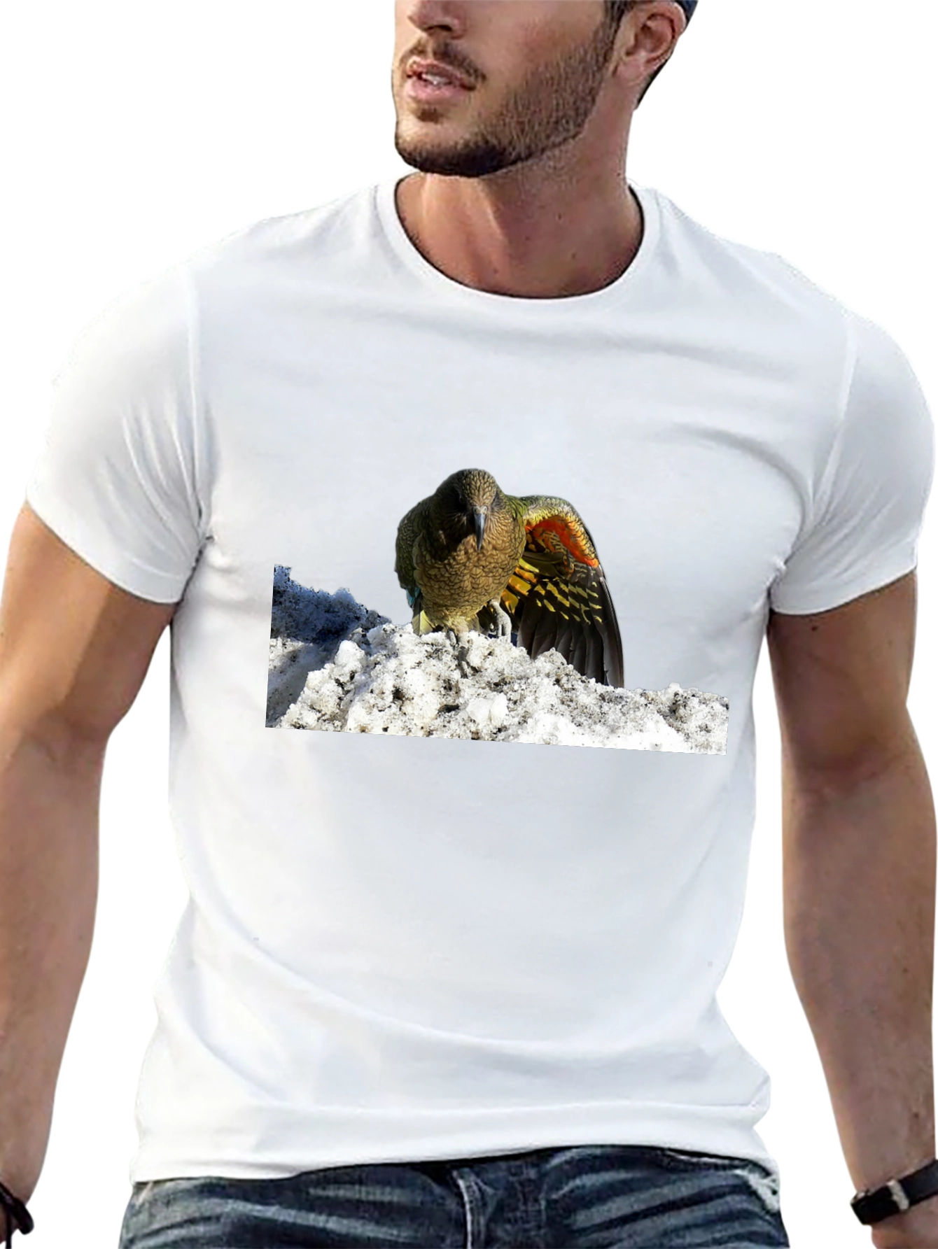 Bird in Snow Graphic Tee - Stylish Black T-Shirt