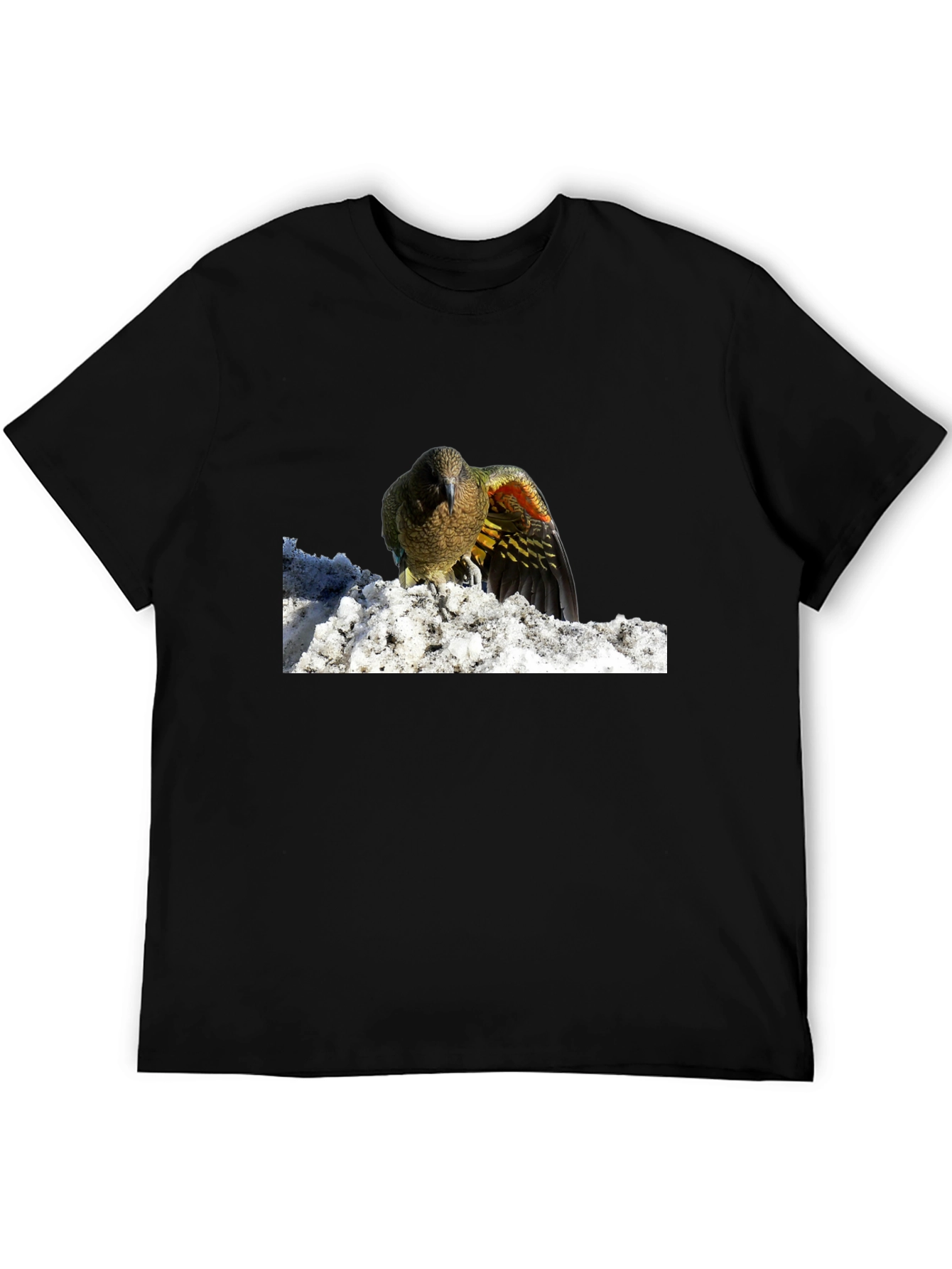 Bird in Snow Graphic Tee - Stylish Black T-Shirt