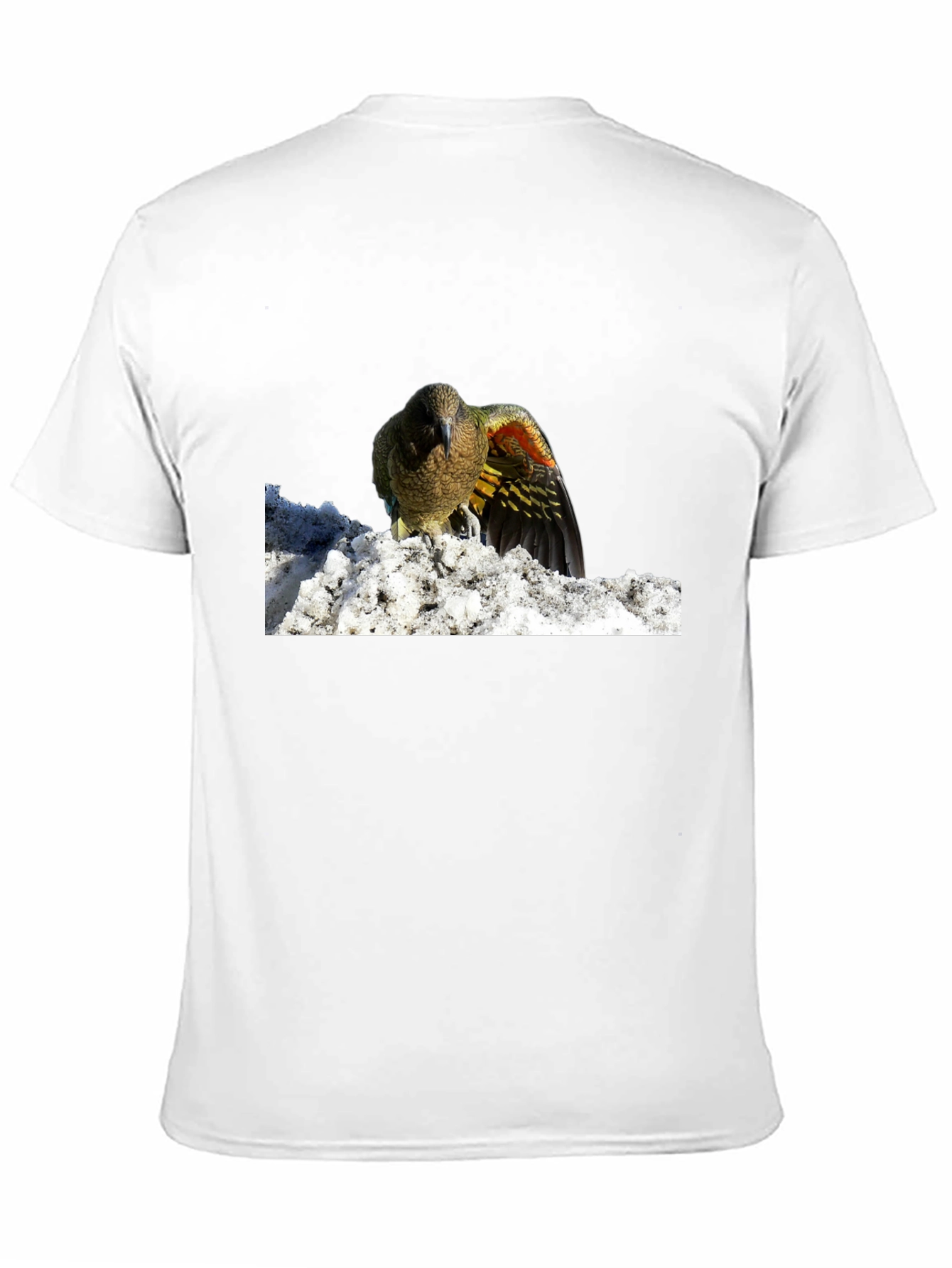 Bird in Snow Graphic Tee - Stylish Black T-Shirt