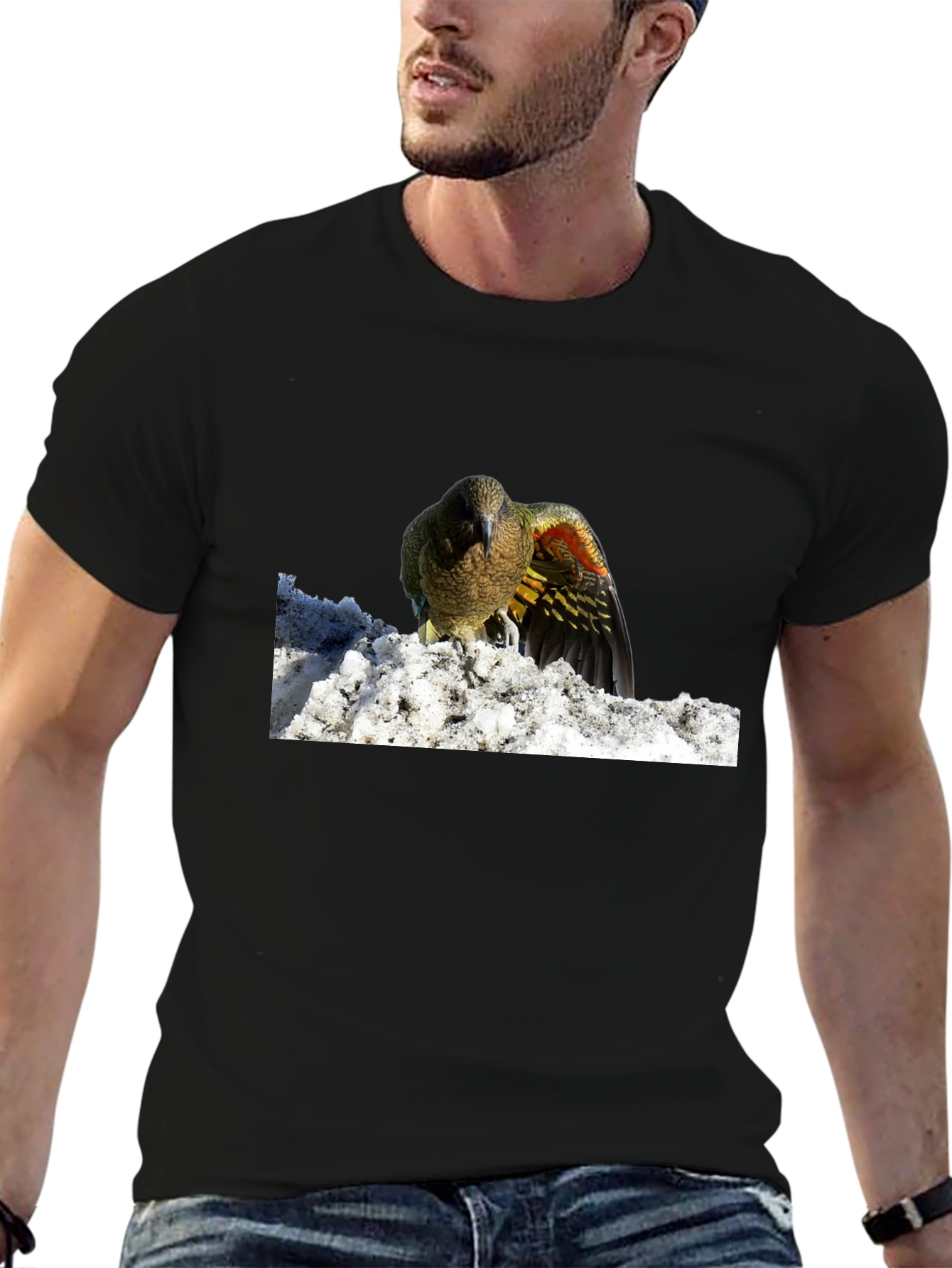 Bird in Snow Graphic Tee - Stylish Black T-Shirt