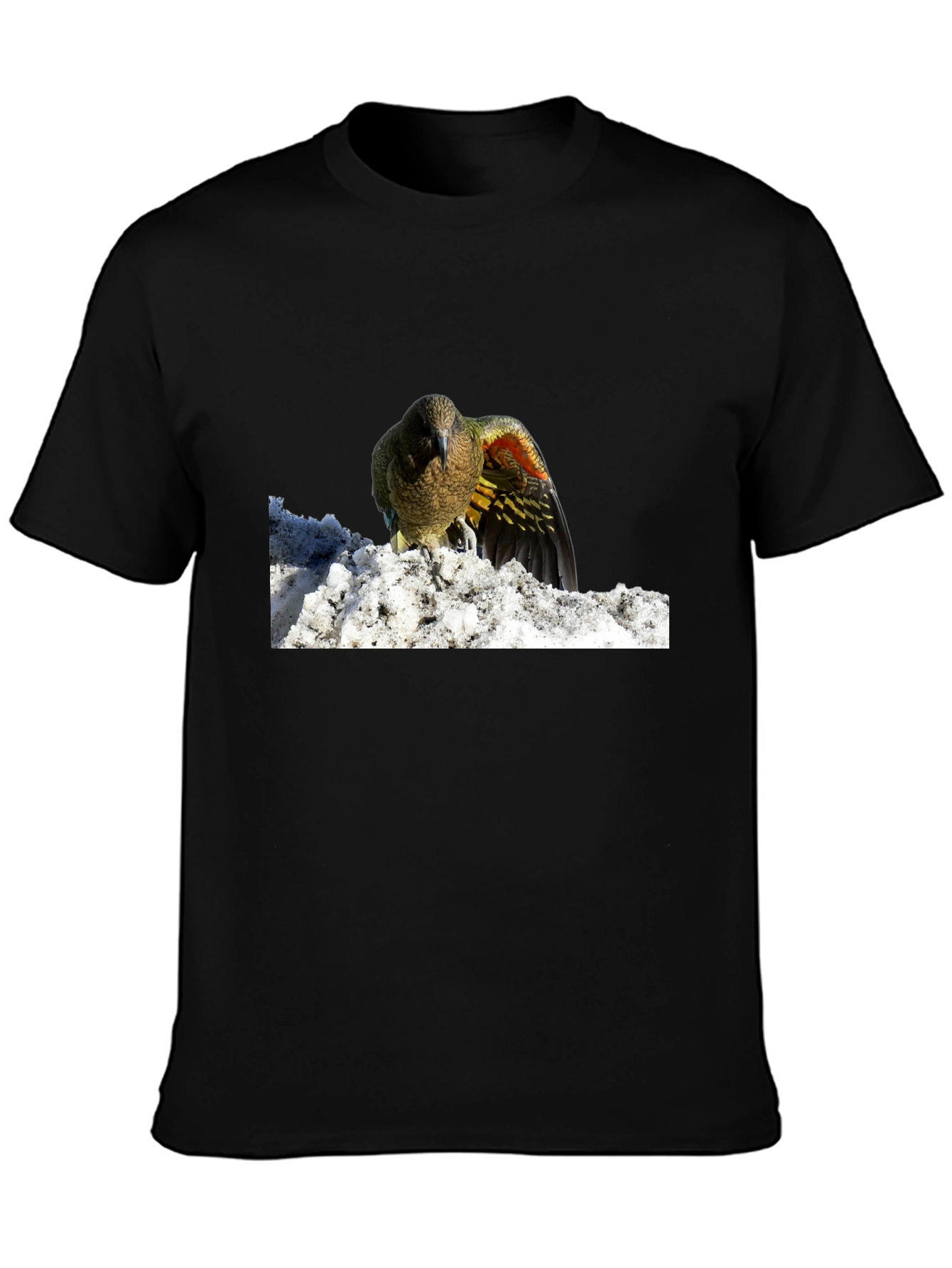 Bird in Snow Graphic Tee - Stylish Black T-Shirt