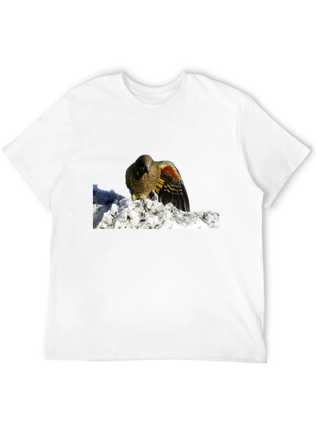 Bird in Snow Graphic Tee - Stylish Black T-Shirt