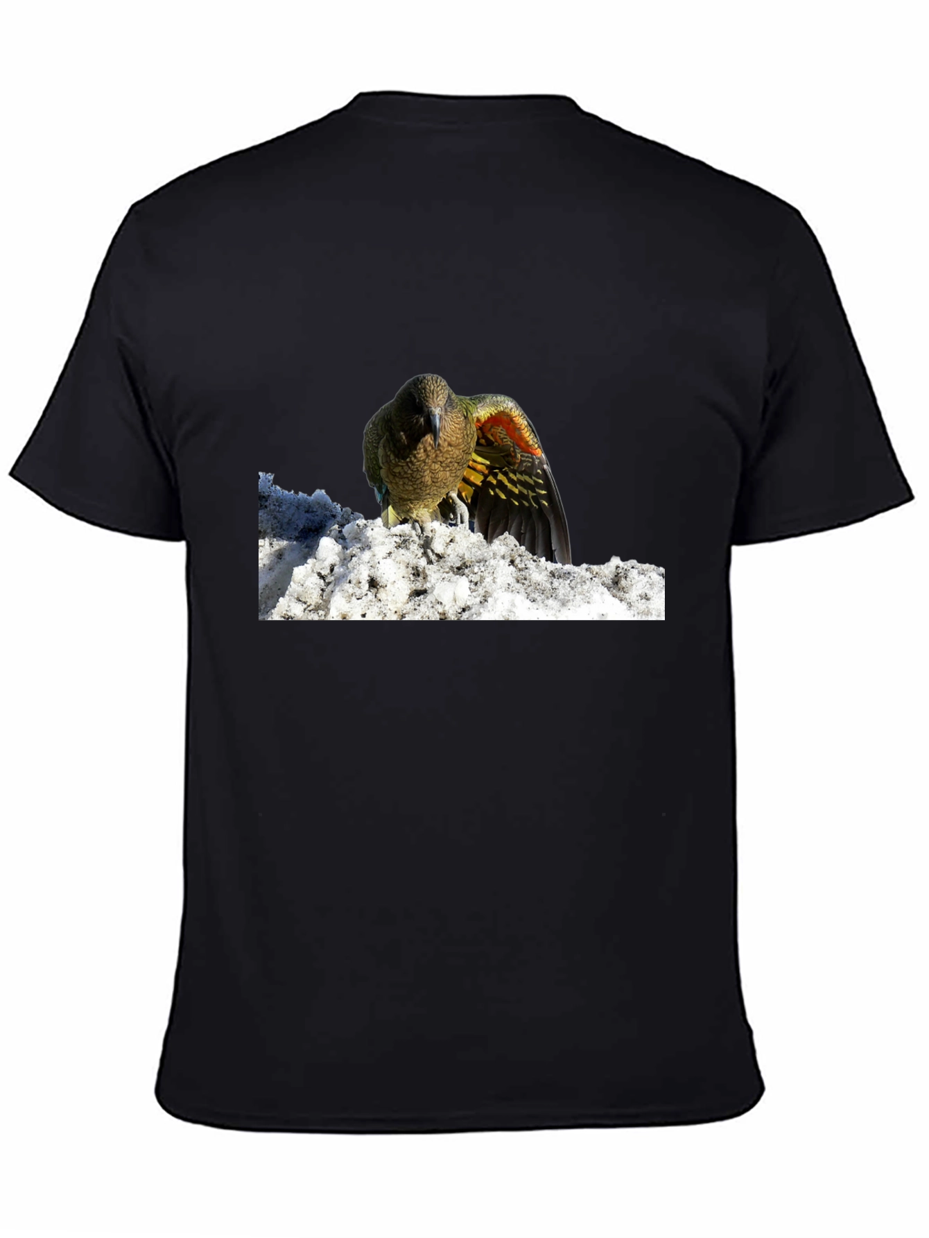 Bird in Snow Graphic Tee - Stylish Black T-Shirt