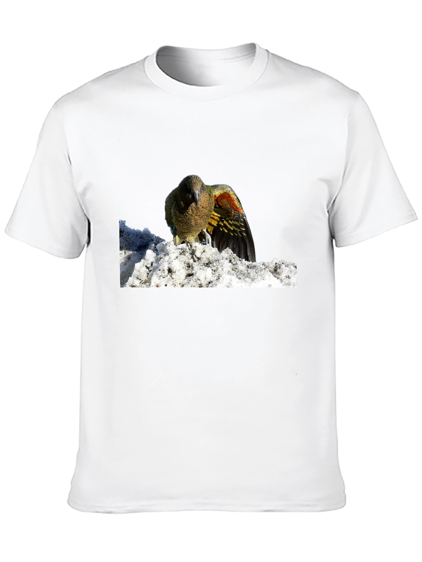 Bird in Snow Graphic Tee - Stylish Black T-Shirt