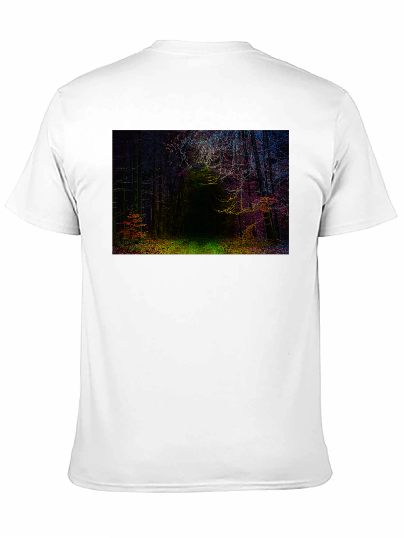 Enchanted Forest Graphic T-Shirt