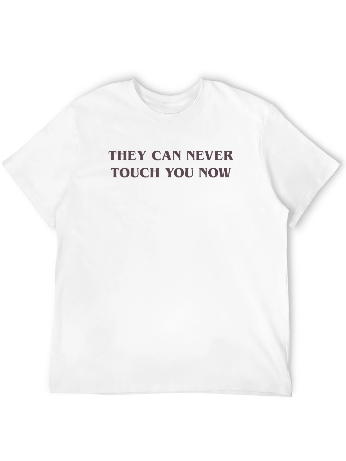 They Can Never Touch You Now - Graphic Tee